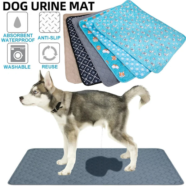 A dog is standing on a blue pet training mat with absorbent and anti-slip features.