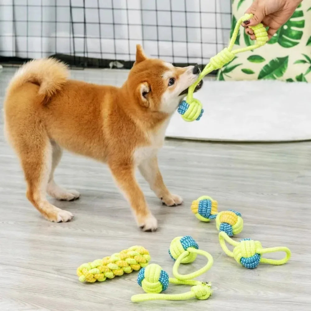 A small, fluffy orange dog is interacting with a bright green rope ball toy.
