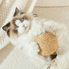 A fluffy calico kitten with blue eyes is lying on a light surface, holding a woven sisal scratching ball.