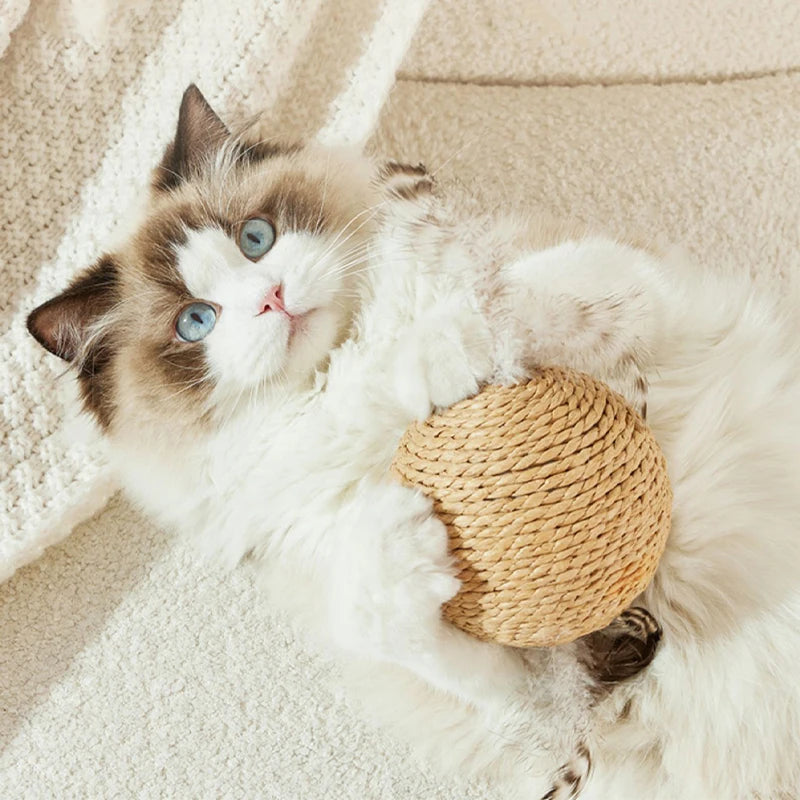 A fluffy calico kitten with blue eyes is lying on a light surface, holding a woven sisal scratching ball.