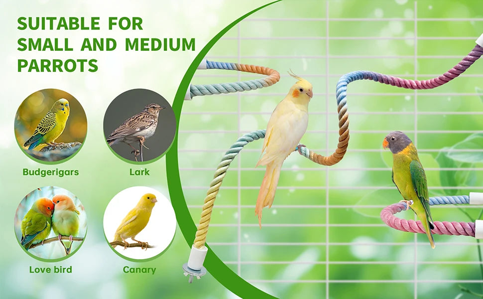 A colorful bird rope perch stand is shown with various small and medium parrots, including budgerigars, larks, lovebirds, and