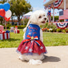 Ein weißer Hund in einem patriotischen Netzkleid mit rot-weiß-blauen Akzenten, sitzt auf einem Betonweg.