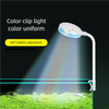 Une lumière LED de poisson clip-on blanche illumine un arrangement de plantes aquatiques vertes.