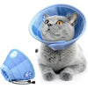 A fluffy gray cat wearing a light blue adjustable recovery collar.