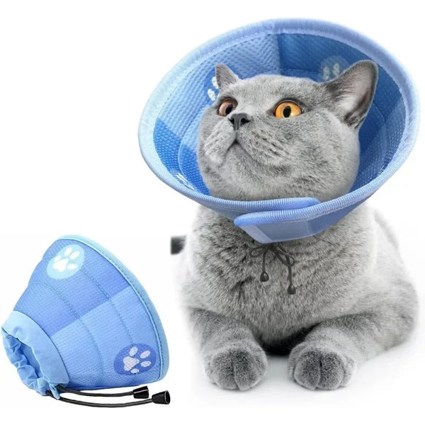 A fluffy gray cat wearing a light blue adjustable recovery collar.