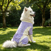 A white dog wearing a purple and cream summer cooling suit outdoors in a grassy park.