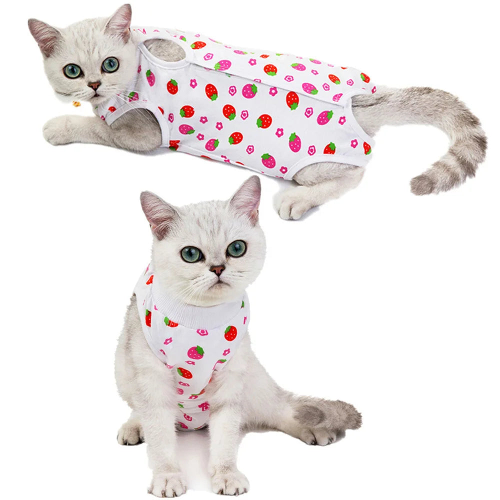 A fluffy gray cat wearing a white recovery vest patterned with red strawberries.