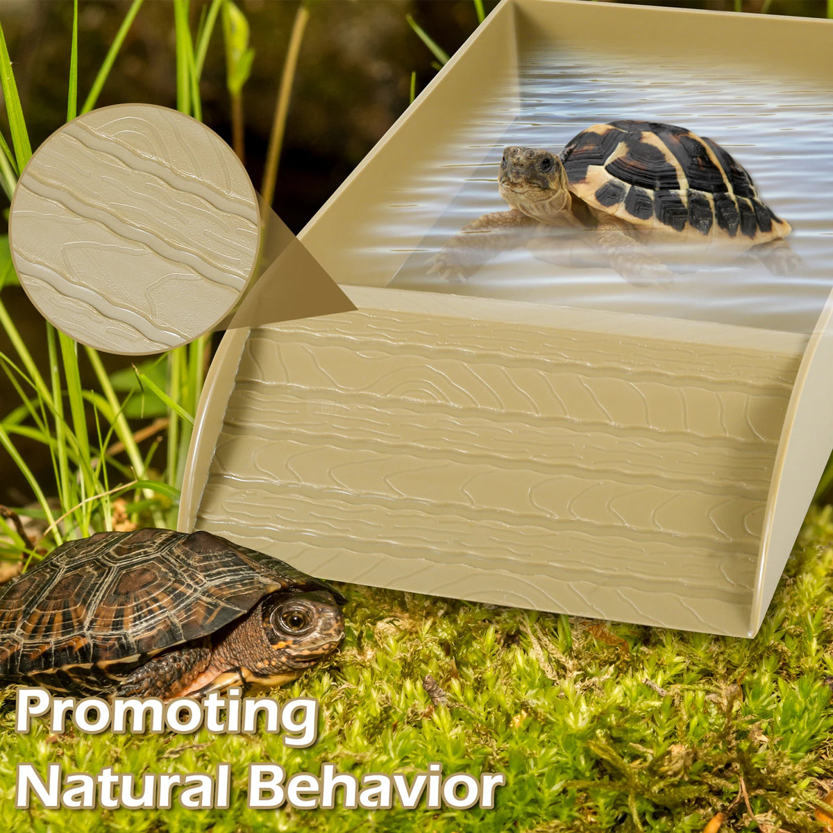 A tortoise is visible inside a light-colored habitat bowl with an anti-slip ramp, promoting natural behavior.