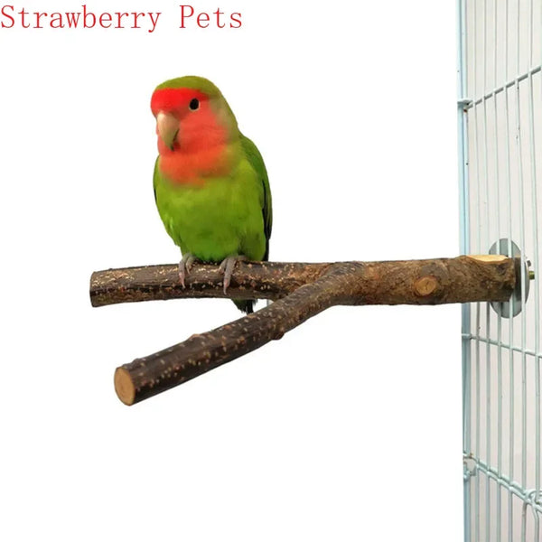 A small, green and red parrot perched on a natural wood branch.