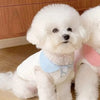 A fluffy white dog wearing a light blue breathable cotton shirt.