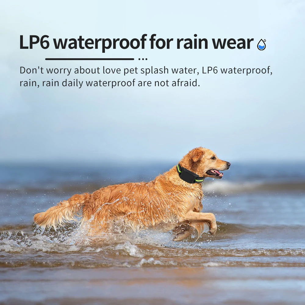A golden retriever dog is running through the water, splashing and enjoying the activity.