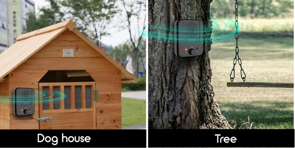 A dog house with a camera and a tree with a hanging deterrent device.