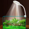 Eine weiße LED-Wachstumslampe beleuchtet eine leuchtend grüne Wasserpflanzenansammlung in einem Glasbehälter.