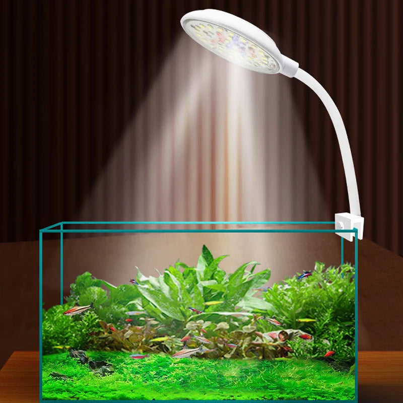 Eine weiße LED-Wachstumslampe beleuchtet eine leuchtend grüne Wasserpflanzenansammlung in einem Glasbehälter.