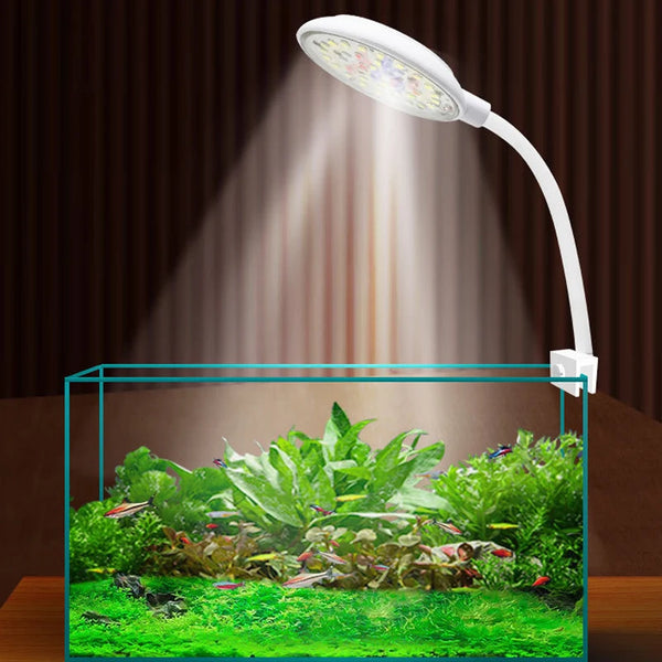 Eine weiße LED-Wachstumslampe beleuchtet eine leuchtend grüne Wasserpflanzenansammlung in einem Glasbehälter.