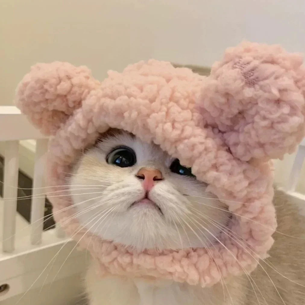 Eine weiße Katze trägt eine flauschige rosa Tiermütze mit großen Ohren.