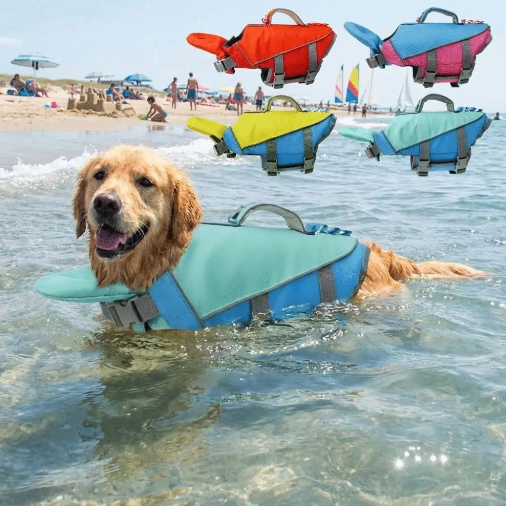 A golden retriever wearing a blue life jacket is swimming in clear water with several brightly colored dog life jackets float