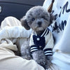 Un cachorro gris peludo vistiendo una chaqueta de béisbol a rayas azul marino y blanca, descansando sobre una tela de color c