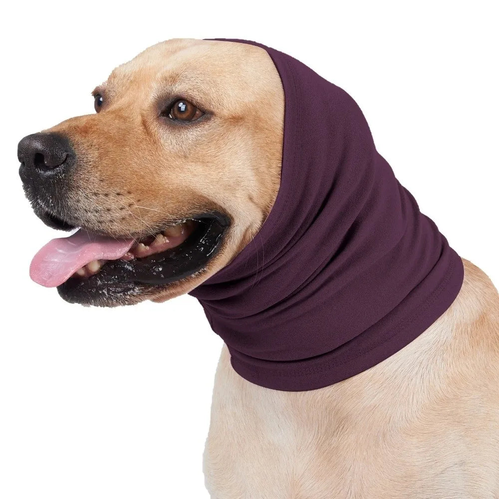 A light-colored dog wearing a purple soothing earmuff covering its ears.
