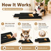 A dog is interacting with a wooden nail scratch board designed for nail care and treats.