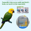 A yellow and green parrot is perched on a natural wooden perch stand for birds.