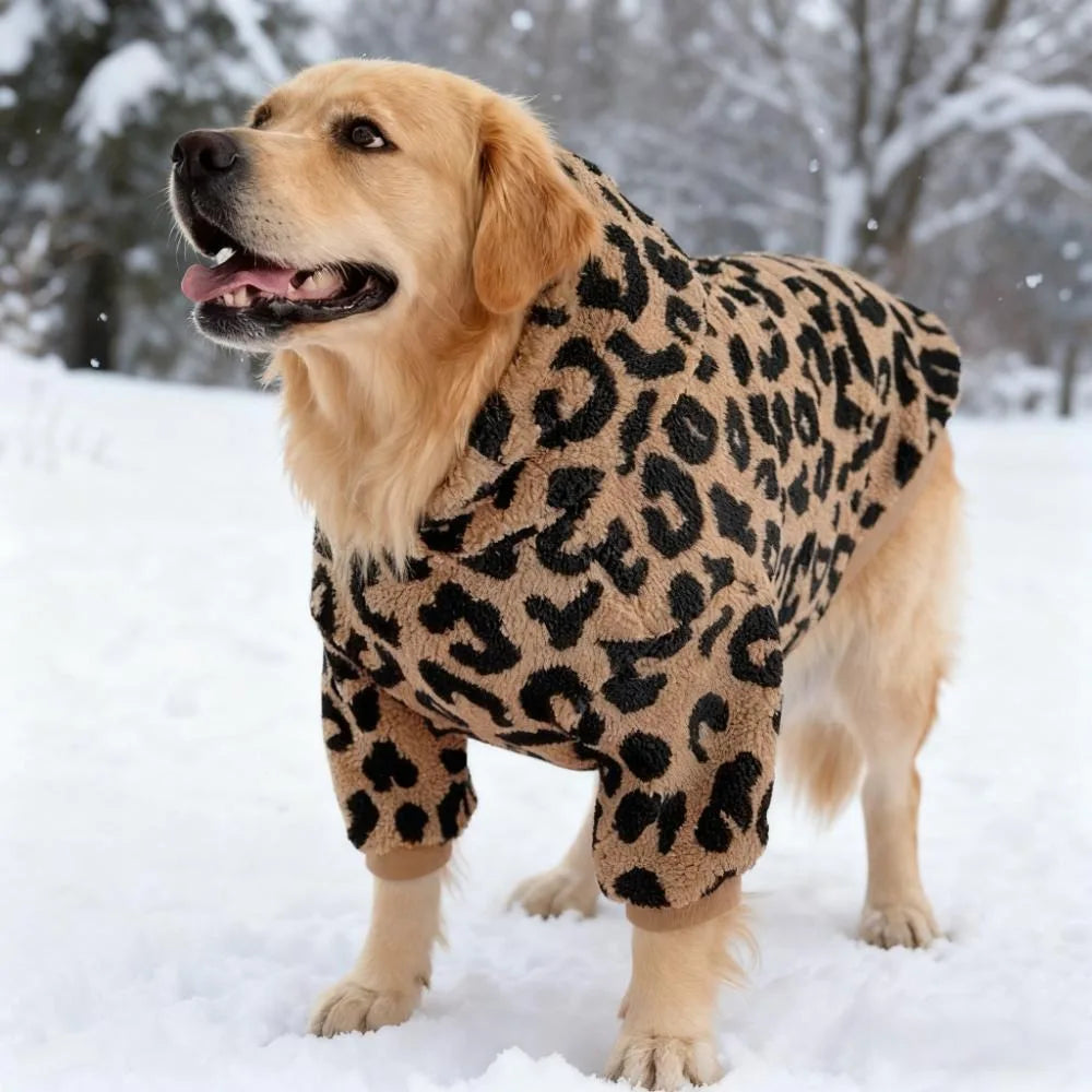A golden retriever wearing a leopard print fleece dog hoodie in the snow.