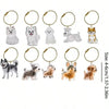 A set of transparent pet hair memorial keychains featuring various dog breeds and pets.