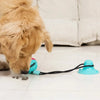 A dog's nose is interacting with a blue suction cup tug toy attached to a black cord on a white floor.