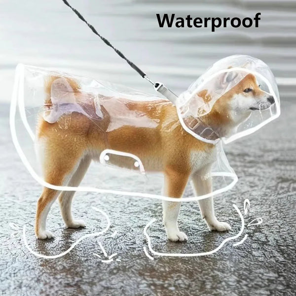A small dog is wearing a clear waterproof raincoat while standing on a gray surface.