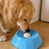 A golden retriever dog is interacting with a blue interactive slow feeder bowl on a wooden floor.