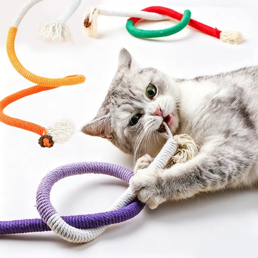 A gray and white cat is playing with various colored rope toys, including orange, green, and purple.