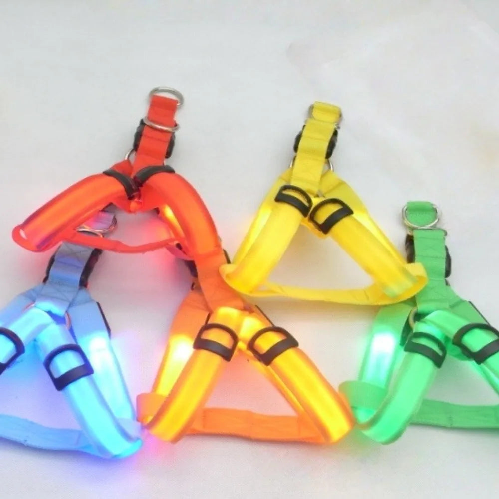 Una colección de cinco arneses para perros LED iluminados en varios colores como naranja, amarillo, verde y azul