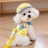 A white poodle wearing a yellow and blue cartoon dog harness vest with a leash.