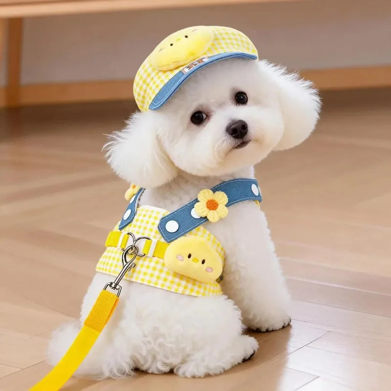 A white poodle wearing a yellow and blue cartoon dog harness vest with a leash.
