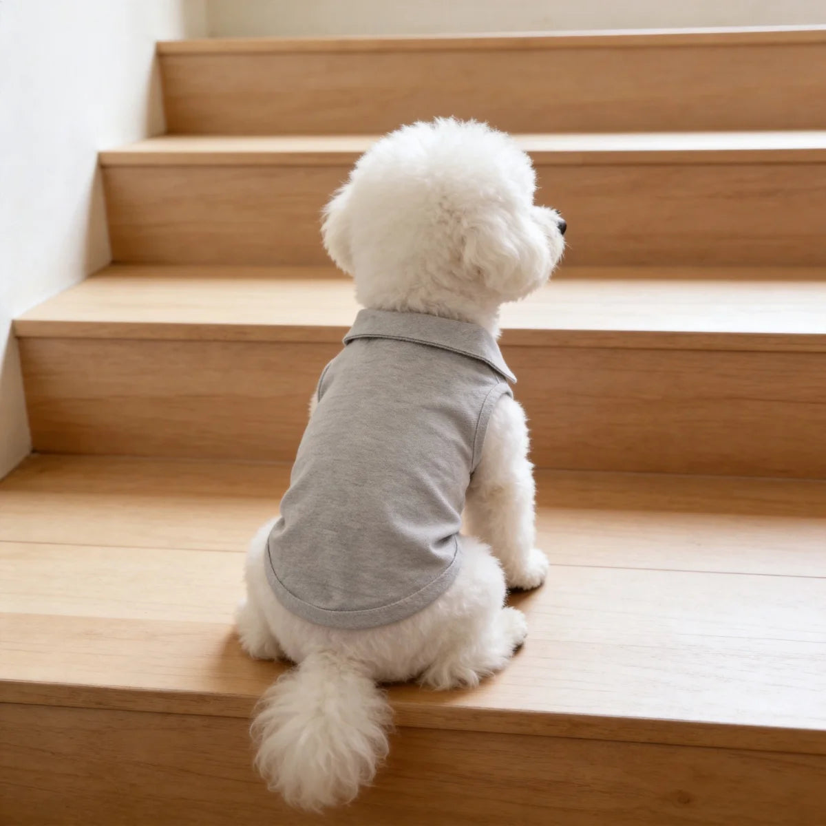 Un perro blanco esponjoso con un chaleco gris suave y transpirable sentado en escaleras de madera clara.