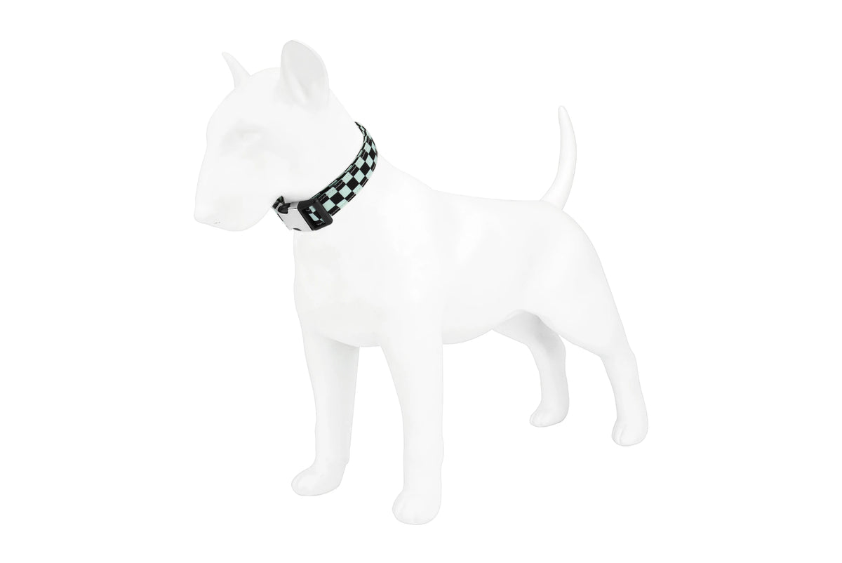 A white dog model wearing a black and white checker pattern collar.