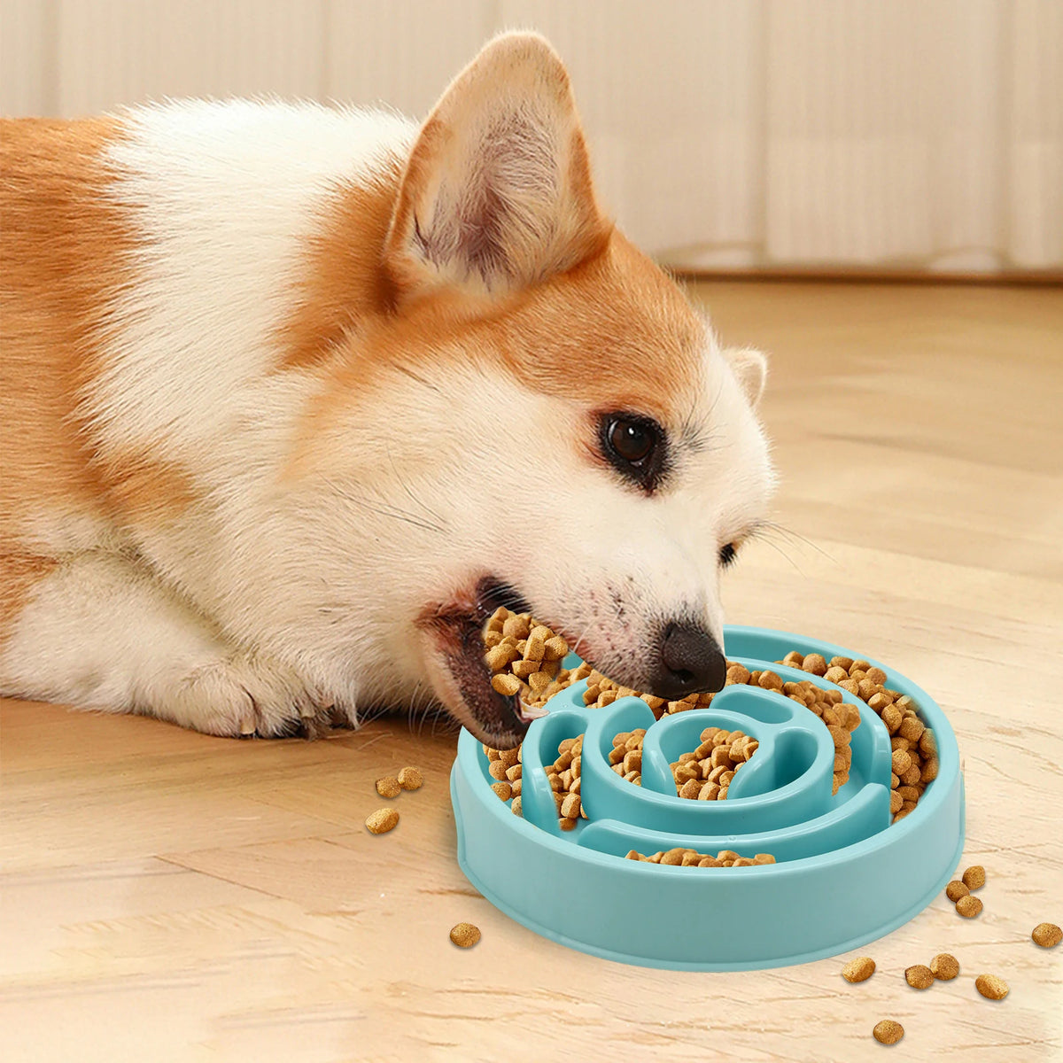 A dog is feeding from a blue anti-gulping slow feeder bowl filled with kibble on a wooden floor.