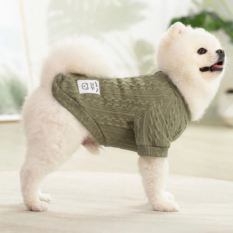 A white dog wearing a olive green knitted winter sweater standing on a light surface.