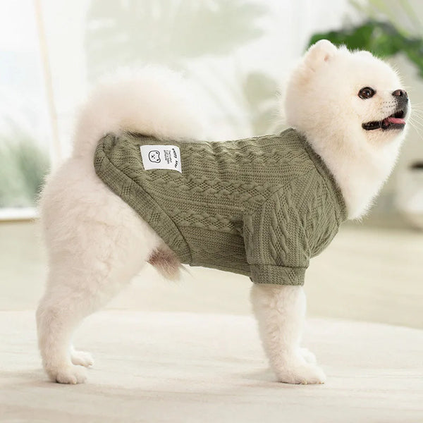 A white dog wearing a olive green knitted winter sweater standing on a light surface.