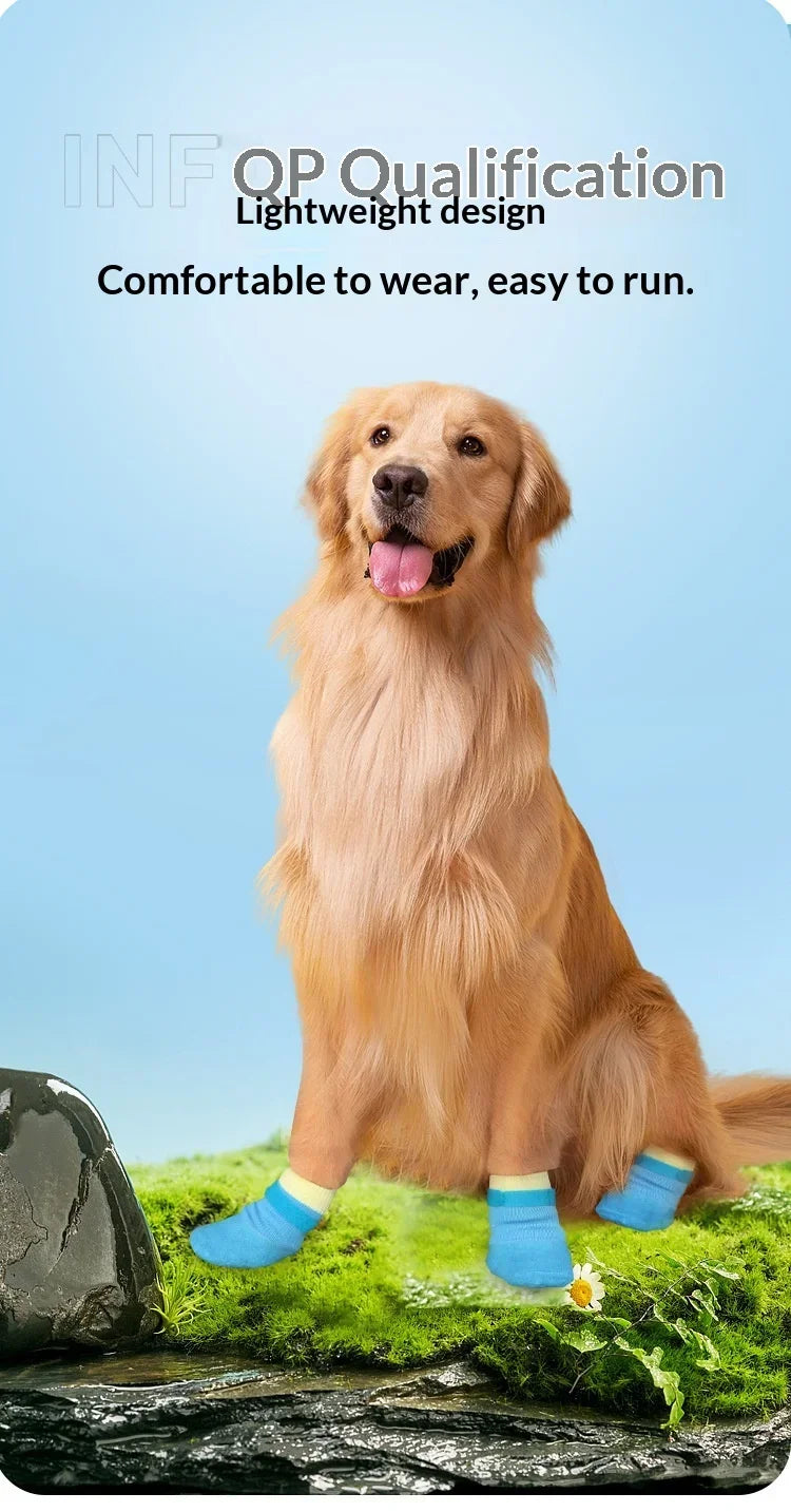 A golden retriever dog sitting on green moss with blue boots.