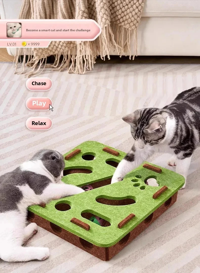 A tabby cat plays with an interactive puzzle toy designed for indoor cat play.