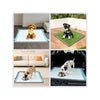 A silicone dog pee pad holder is shown in various contexts, including a green mat for training and a blue mat for indoor use.