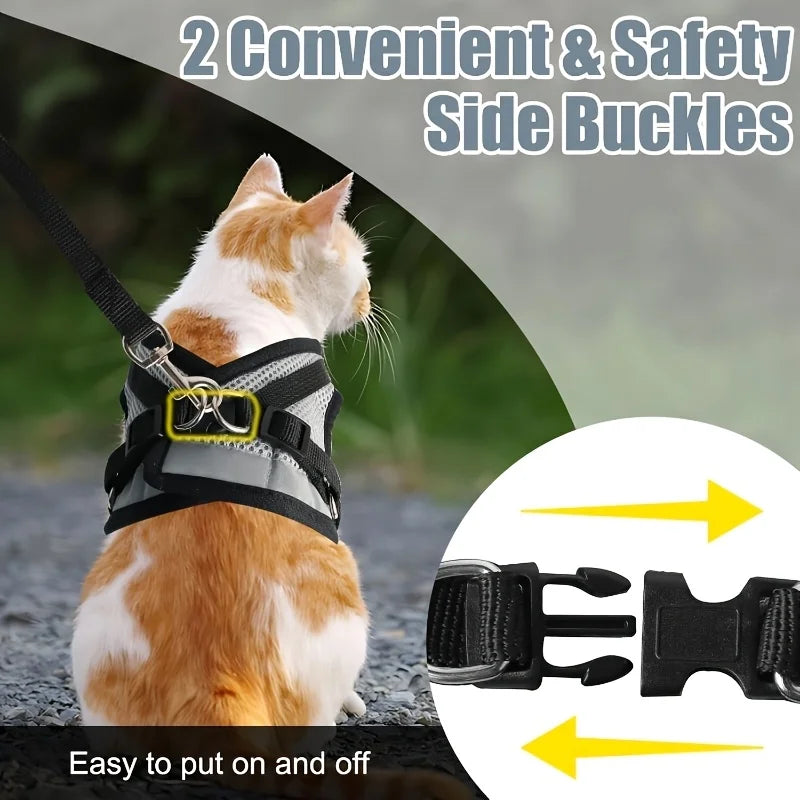 A cat wearing a black and gray breathable mesh pet harness with two convenient side buckles.