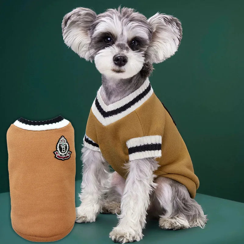 A small, fluffy dog wearing a tan V-neck knit vest with black stripes against a dark green background.