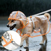 Un chien brun clair portant un imperméable transparent avec des bordures orange, marchant sous la pluie.