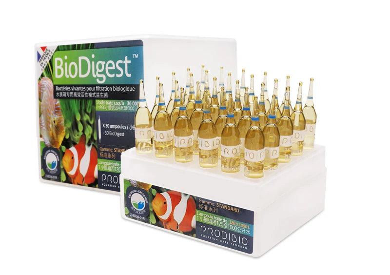 Une boîte de flacons de bactéries BioDigest et un plateau en plastique blanc contenant de nombreuses ampoules en verre pour l
