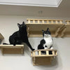 A black cat sits on a wooden shelf below a white cat on another wooden shelf, showcasing modular cat wall shelves.