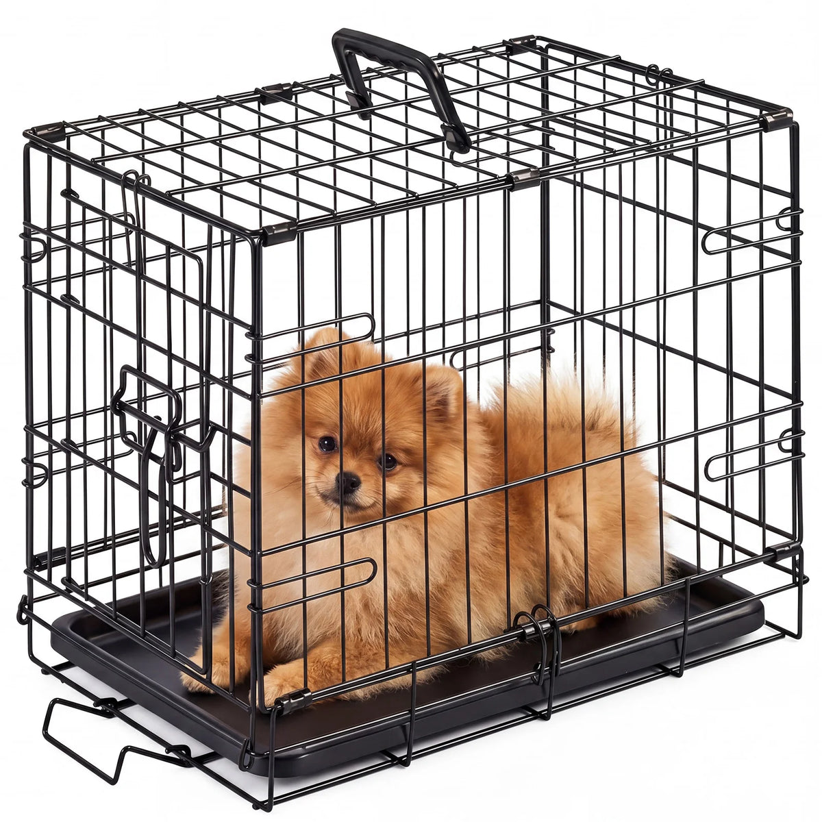 A black foldable metal pet crate with a security lock containing a fluffy orange dog.