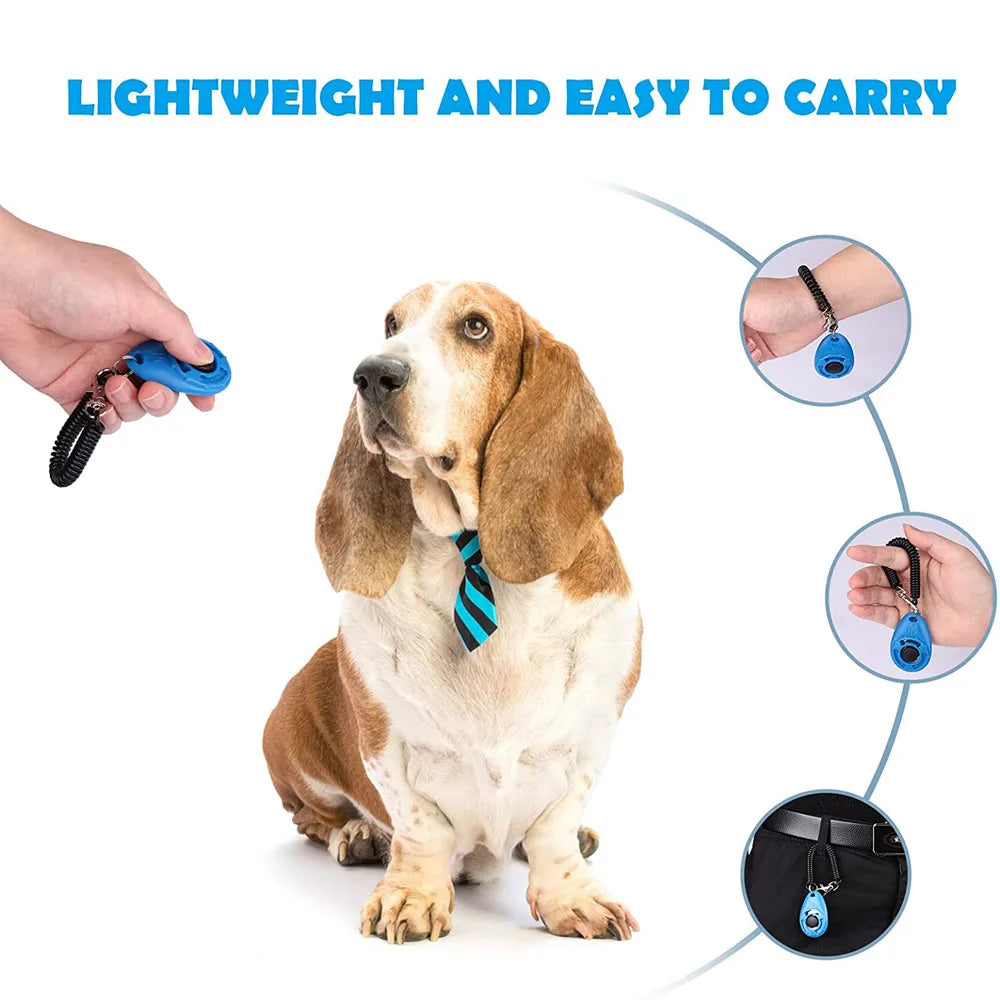 Un chien portant un clicker bleu et noir sur un collier en cuir, avec une main tenant un clicker bleu à proximité.
