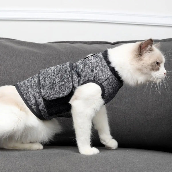 A white cat wearing a gray soft anti-anxiety calming vest, sitting on a dark gray couch.